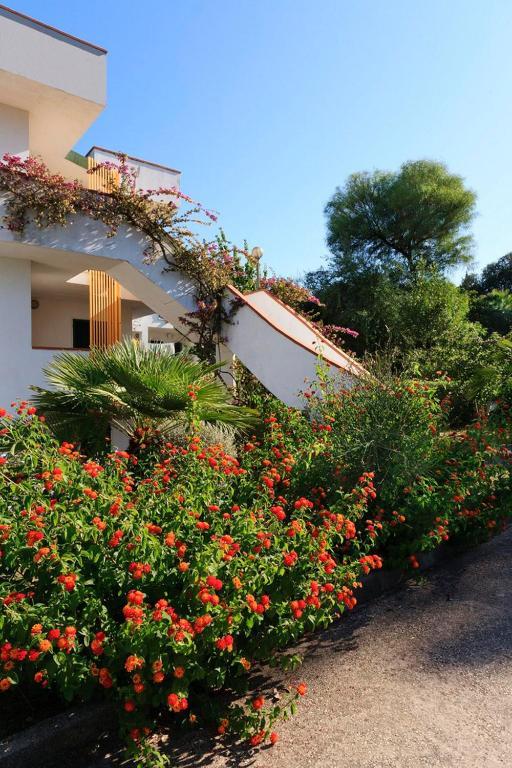 Hotel Villaggio Costa Ripa Rodi Garganico Buitenkant foto